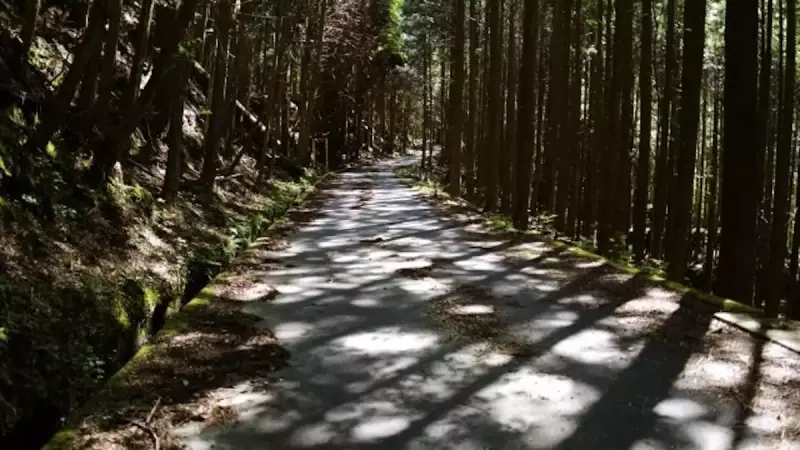 恵那山登山口までの林道
