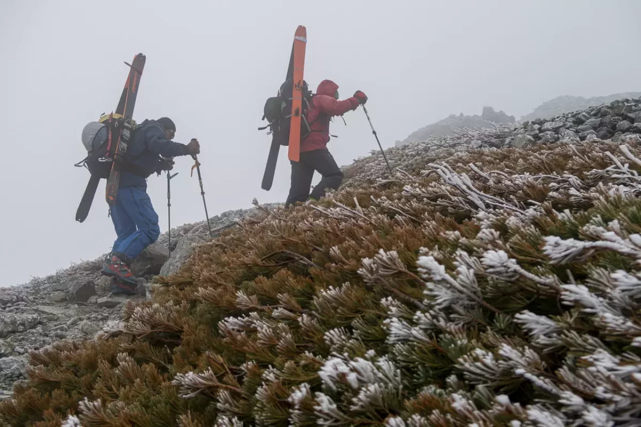 冬のシーンで考えるドライレイヤー