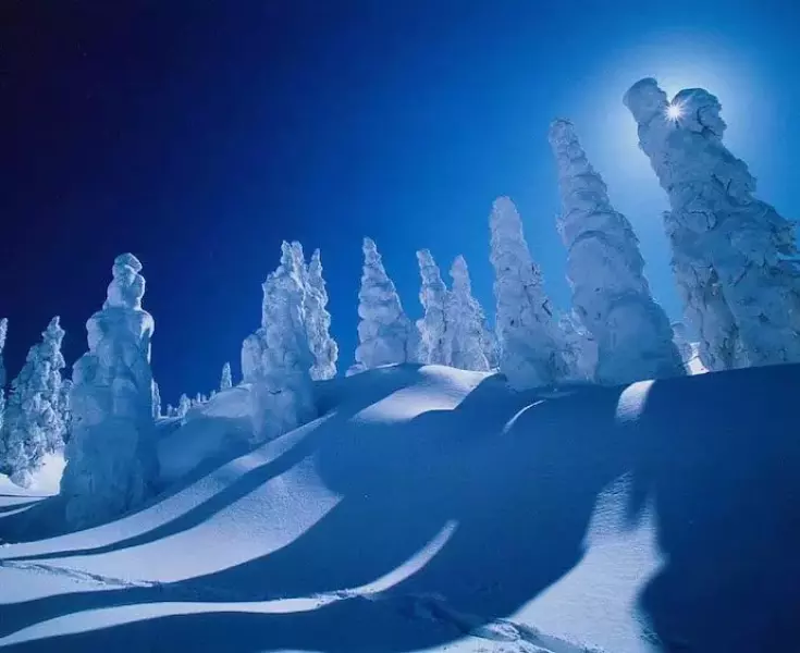 阿仁ゴンドラで行く 森吉山の樹氷鑑賞