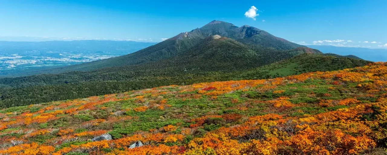 三ツ石山の紅葉