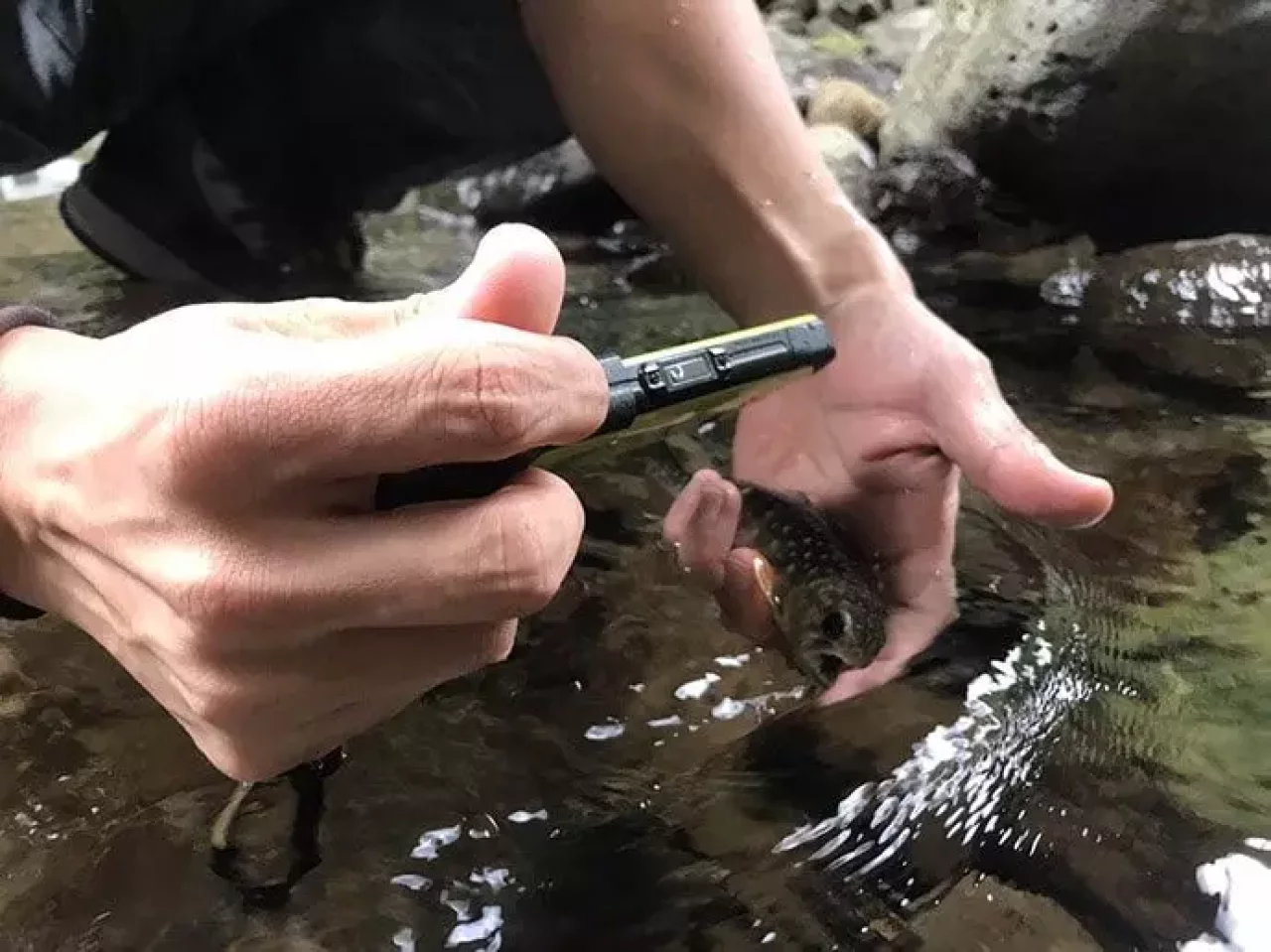 TORQUEG03で撮影する水中写真