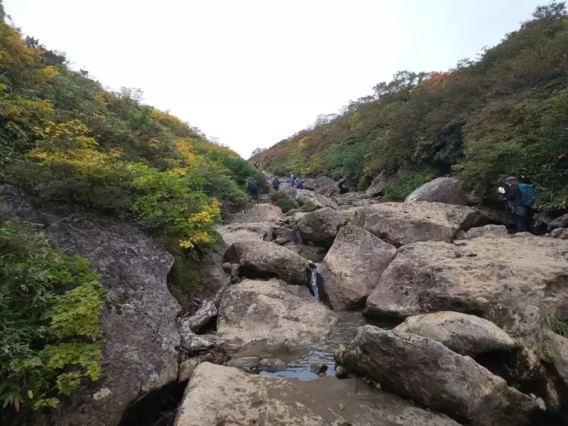 栗駒山 東栗駒コース・沢沿いの道
栗駒山 登山