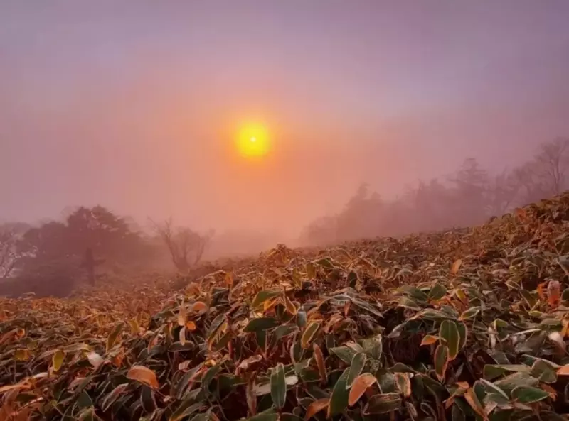 剣山登山 朝日