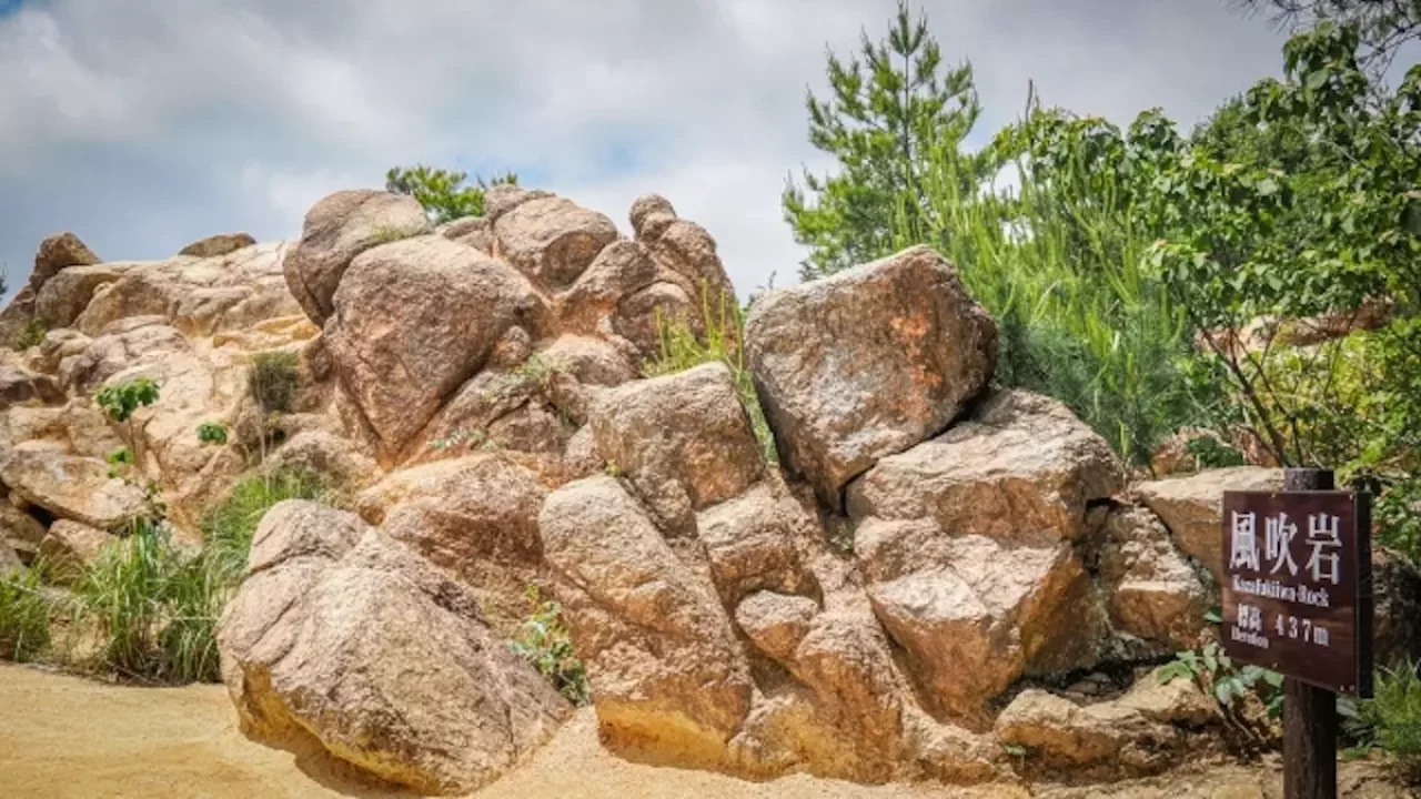 六甲山 登山 紅葉 風吹岩