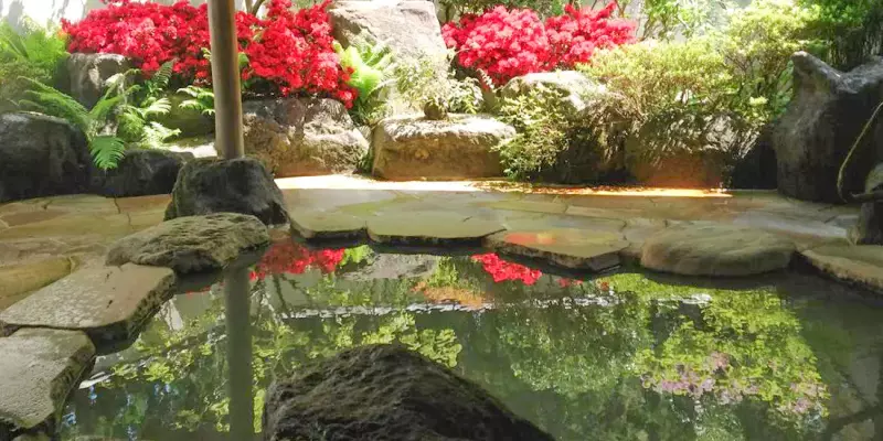 川桶の湯 マウントビュー箱根
東京近郊 日帰り 登山 温泉