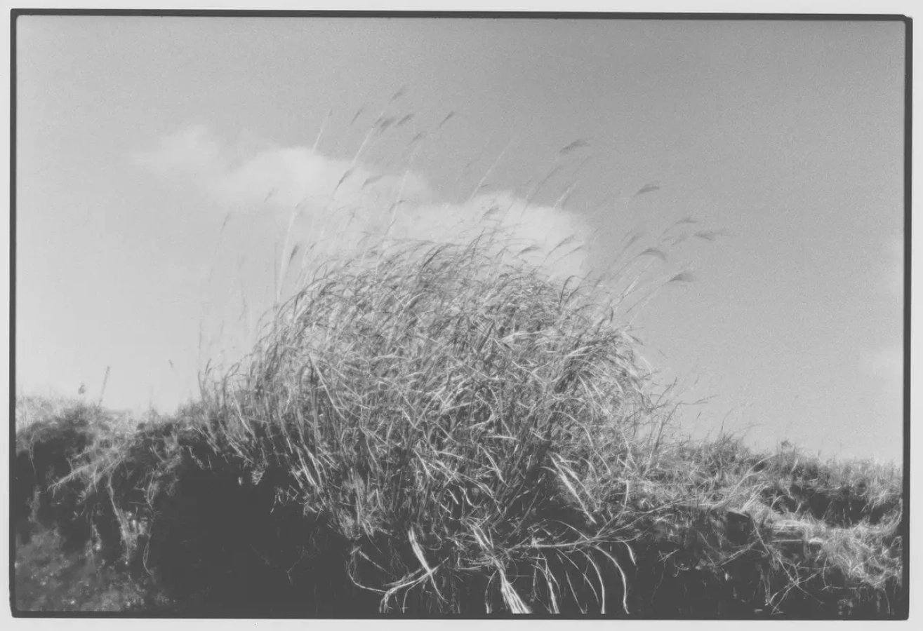 大山 謙一郎 写真展:凝視展 その43~うさぎ追いし かの山~