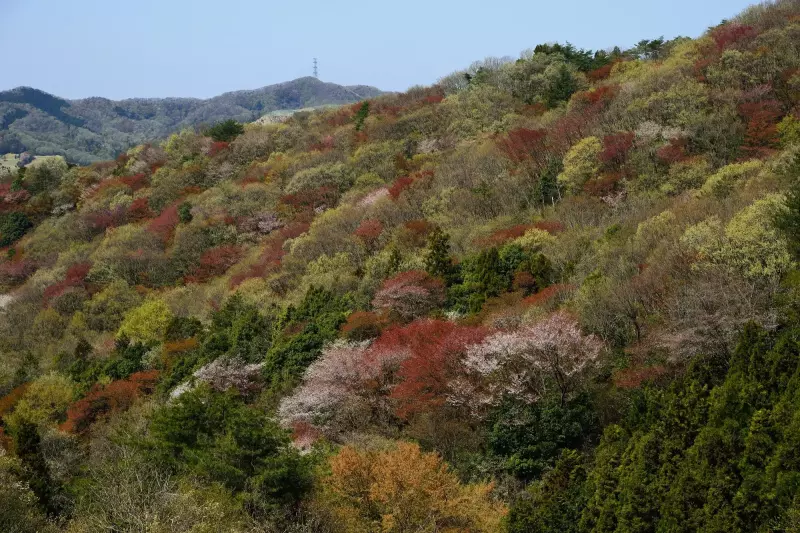 【関東】おすすめの低山16選-初心者から中上級者向けまで!日帰りで行く絶景の山をご紹介|登山レポート|レポート|山のコト|登山・トレラン・山スキーマガジン「山旅旅」