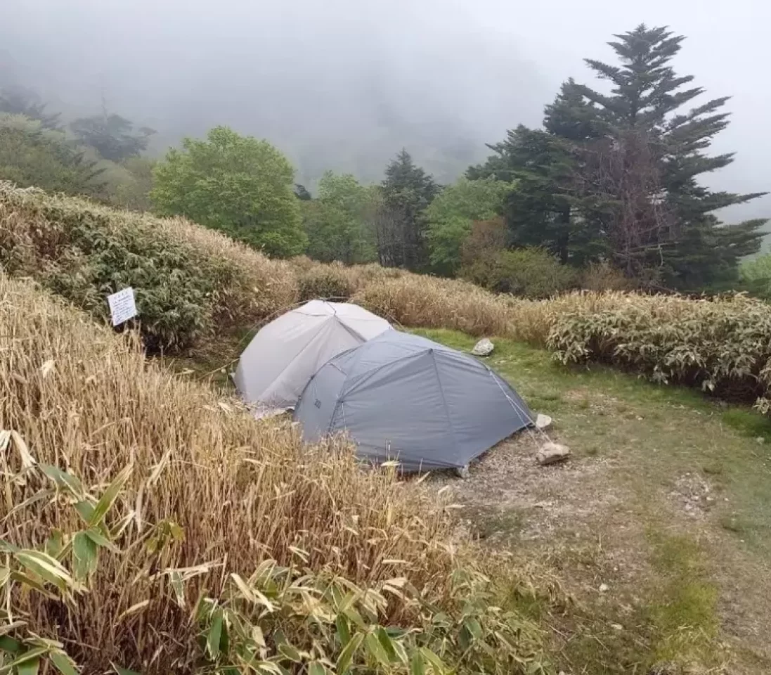 剣山登山 テント場