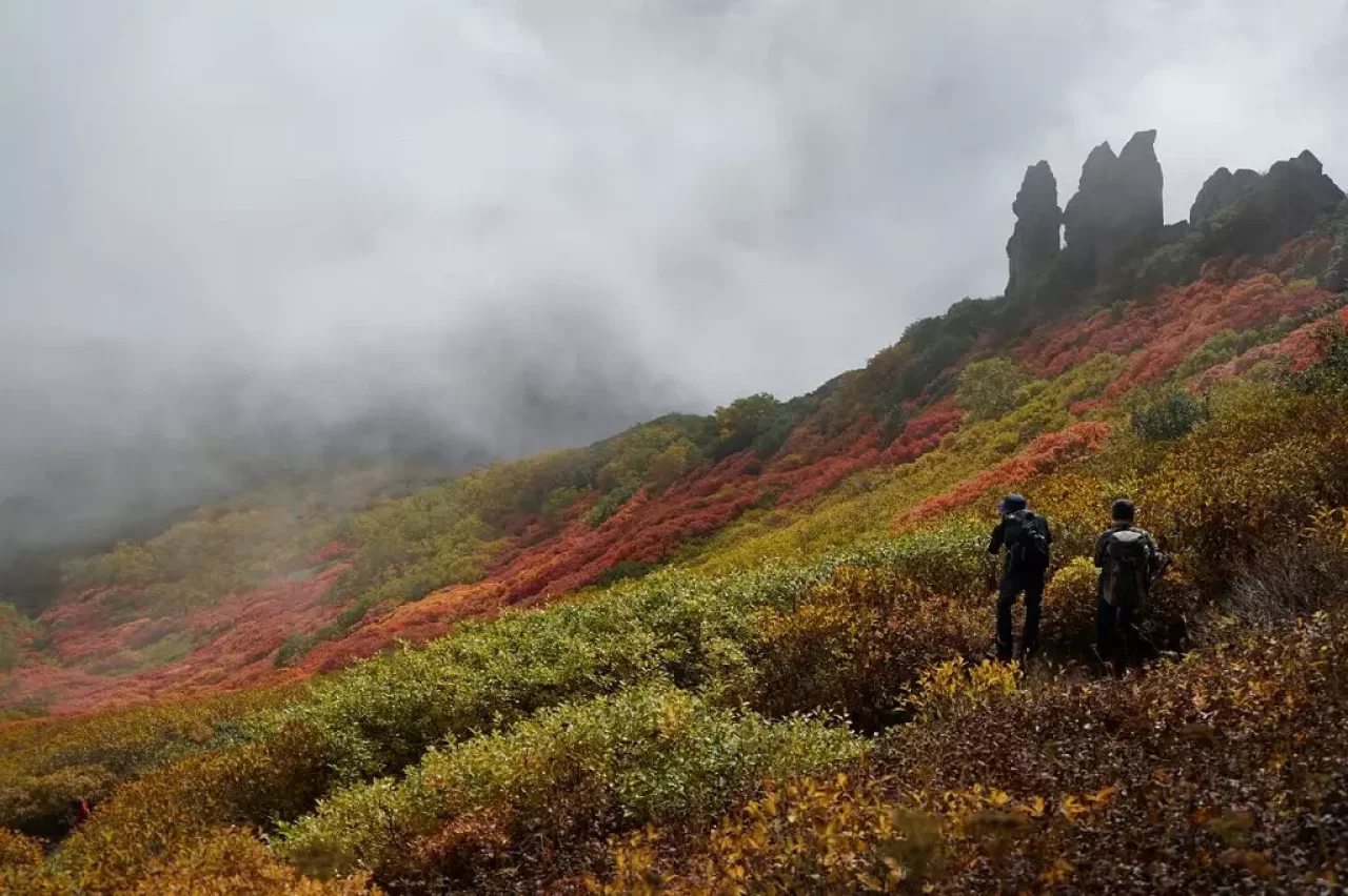 大雪山・黒岳の紅葉