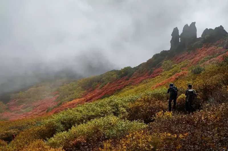 大雪山・黒岳の紅葉
