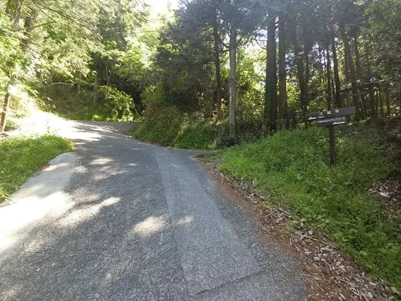 東海道五十三次 小夜の中山