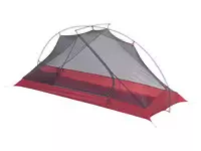 カーボンリフレックス