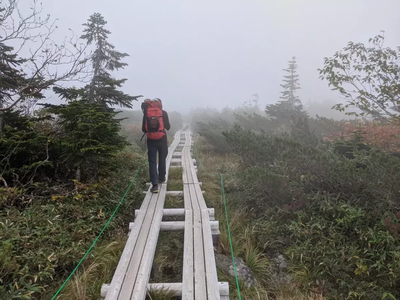 木道を歩く登山者