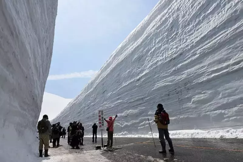 立山黒部アルペンルート『雪の大谷ウォーク』