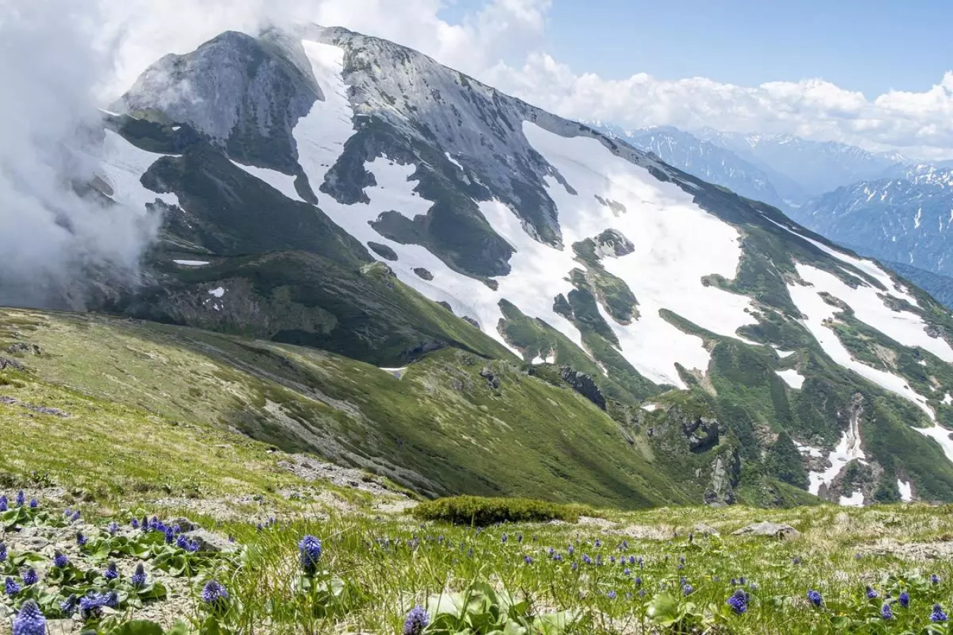 白馬岳登山-高山植物と大展望を楽しむ難易度別ルート紹介