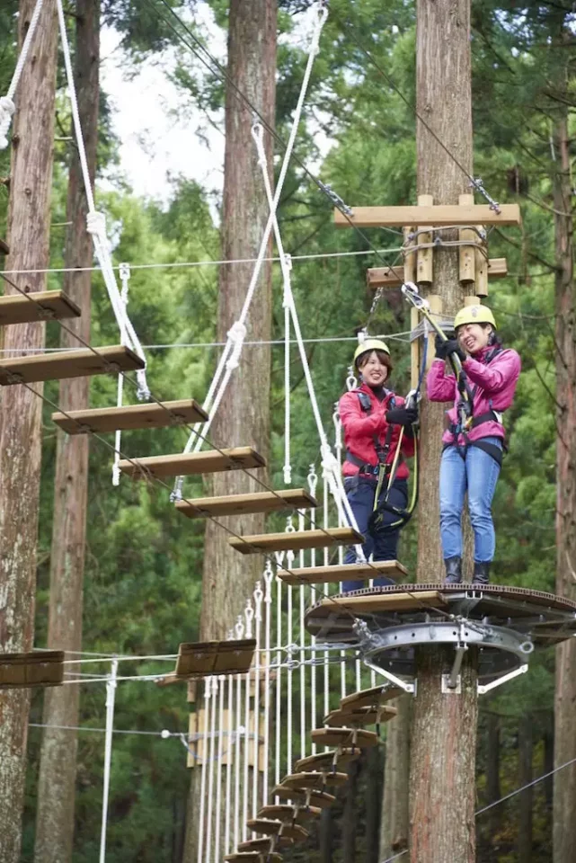 ツリーピクニック アドベンチャー いけだ