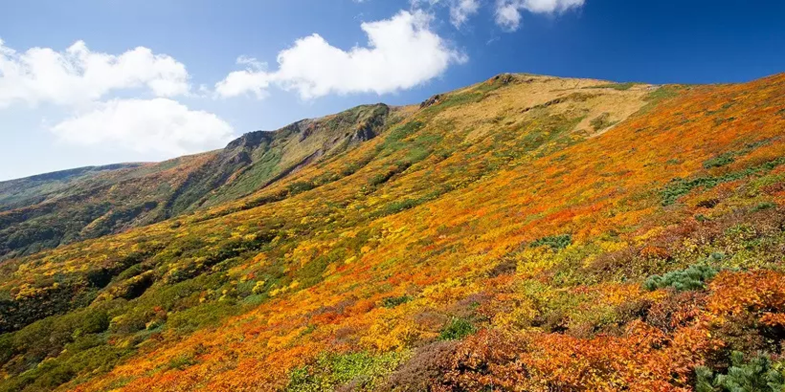 【紅葉登山】9月に見頃を迎える秋先取り紅葉スポット5選