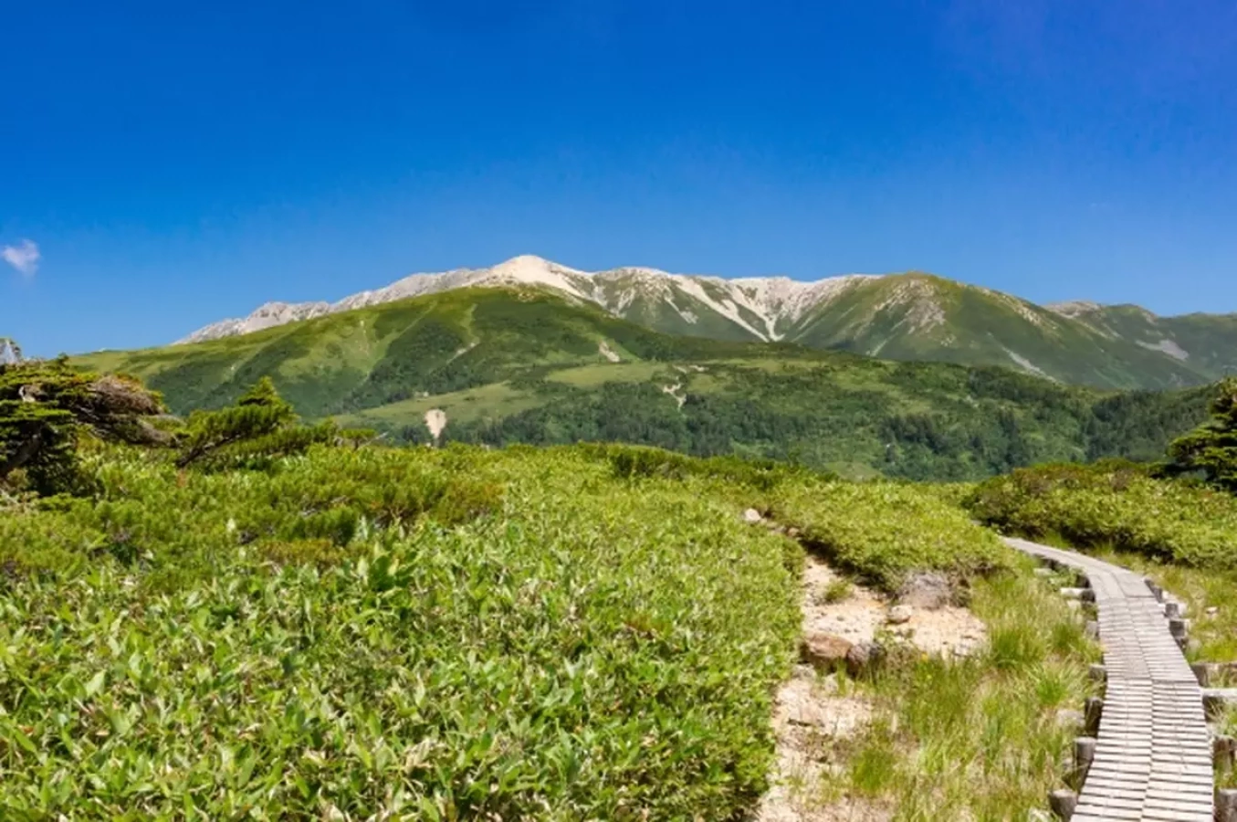 北アルプスの貴婦人の名を持つ信仰の山-薬師岳の初心者向けから中級者向けの難易度別登山コース紹介