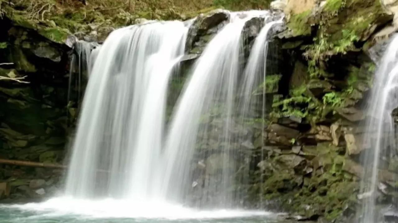 大船山登山暮雨の滝