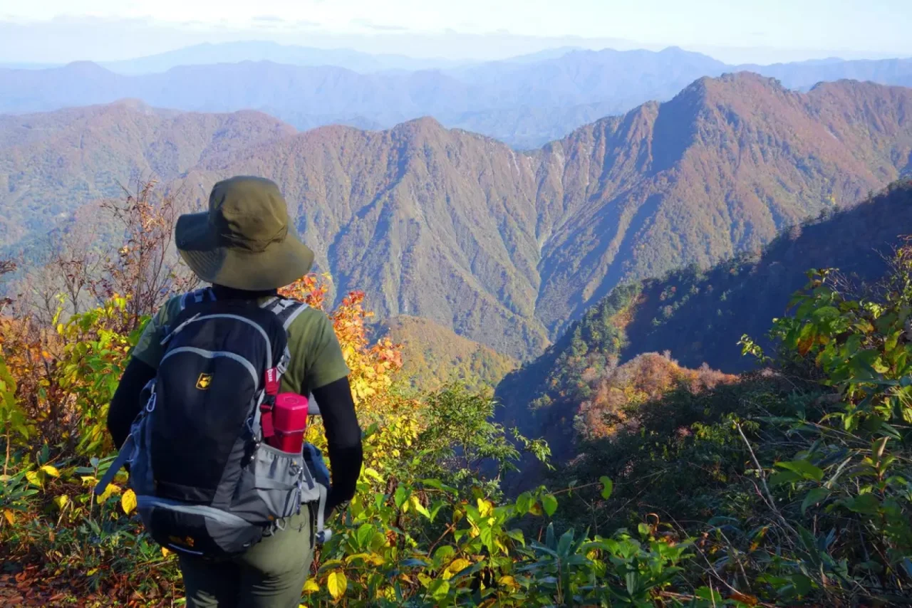 ロープウェー山頂駅から歩き出したころの八海山の登山道(2020年11月2日)