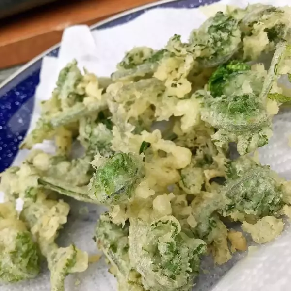 山菜祭り2019