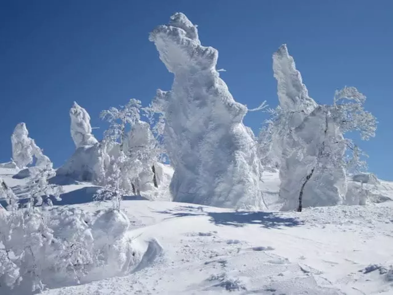 阿仁ゴンドラで行く 森吉山の樹氷鑑賞