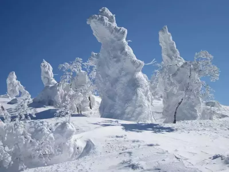 阿仁ゴンドラで行く 森吉山の樹氷鑑賞