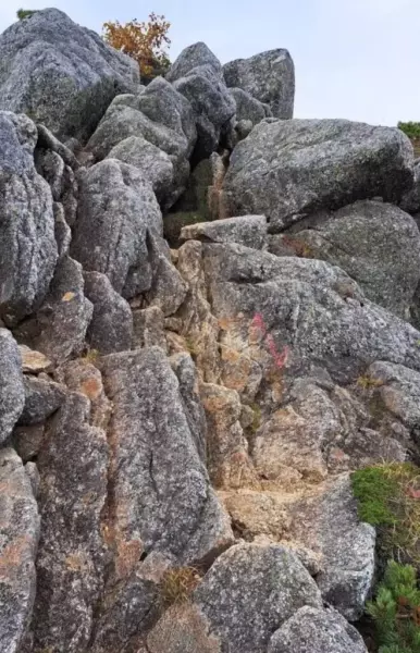 木曽殿越から空木岳への登山道