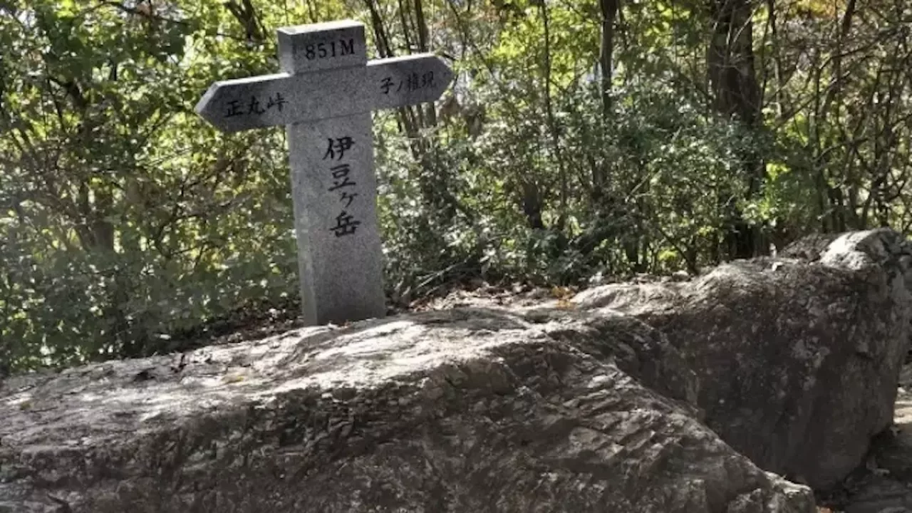 飯能アルプス 登山 伊豆ヶ岳山頂
