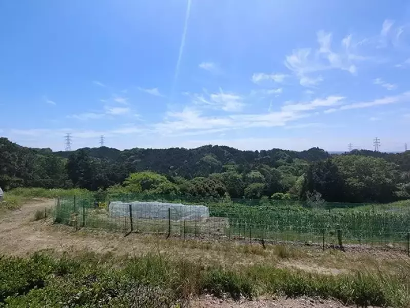 東海道五十三次 小夜の中山