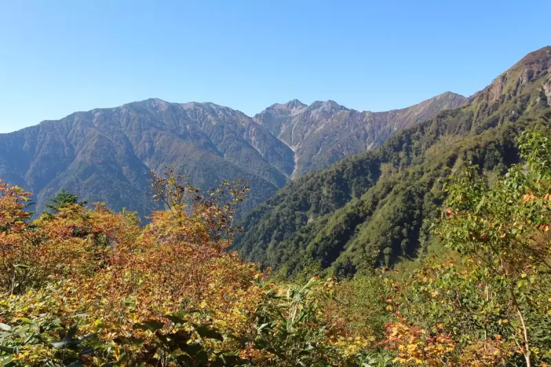 爺ヶ岳から望む針ノ木岳