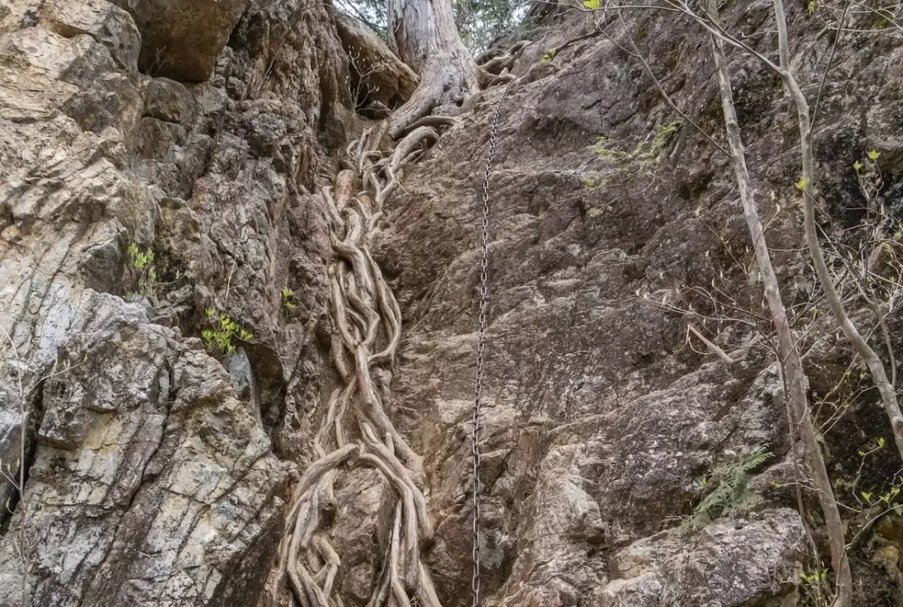 鋸山登山道のくさり場
