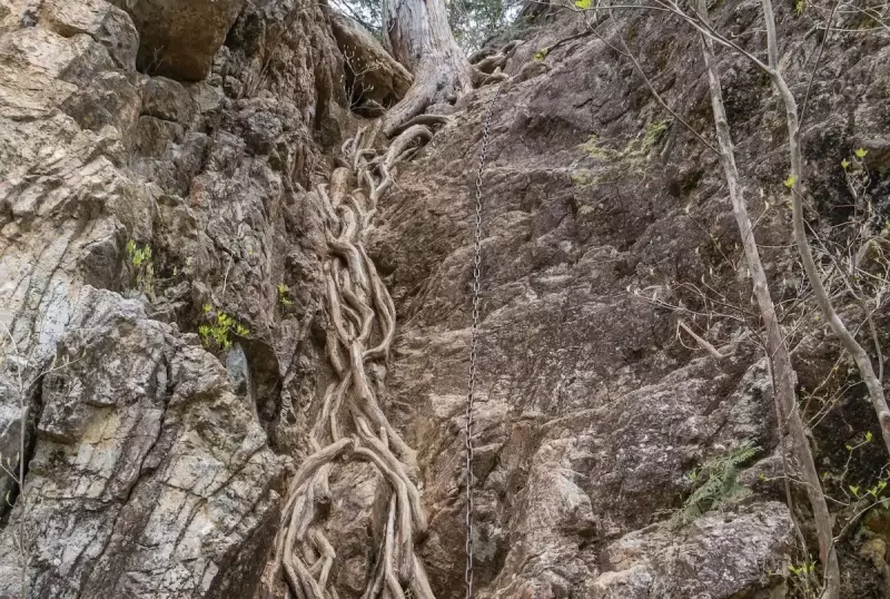 鋸山登山道のくさり場