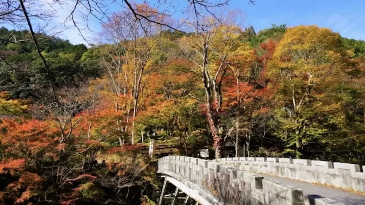 愛宕山 登山 清滝登山口