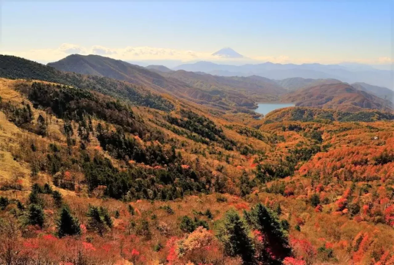 紅葉登山 大菩薩嶺