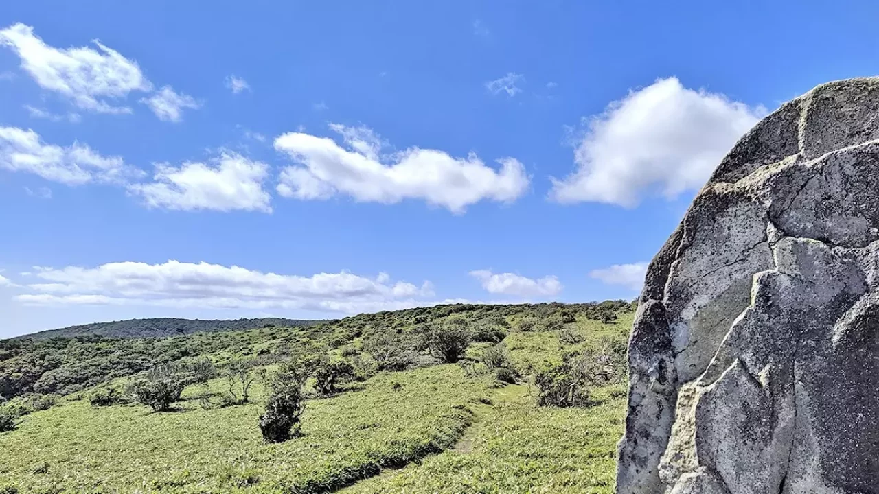 関西 登山 段ヶ峰