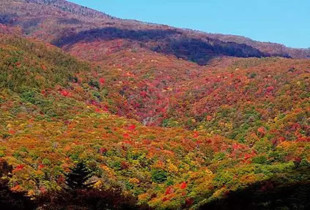 db9a22_b91fa265b08c47c2a5a17a5cac2c6471-mv2