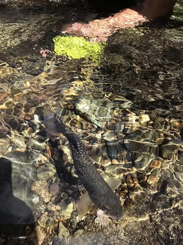 TORQUEG03で撮影する水中写真