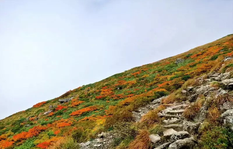 紅葉シーズンの月山