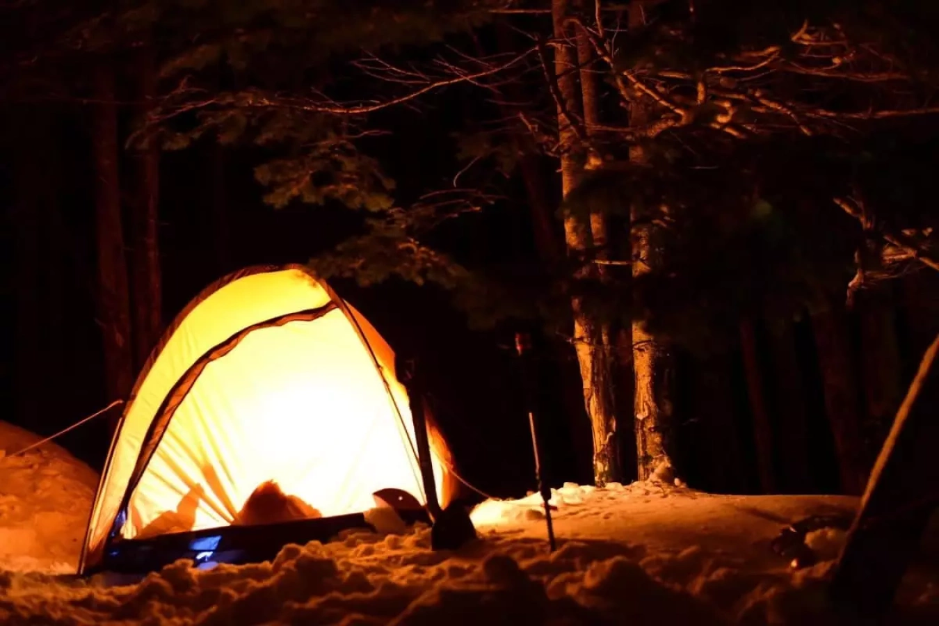 アライテント ライズ1 僕の愛用テント