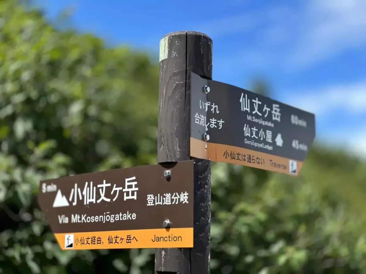 戸台パーク(旧仙流荘)周辺で山旅旅が撮影した写真