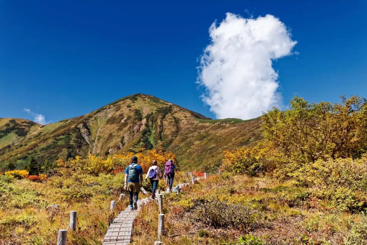 火打山に向かう木道