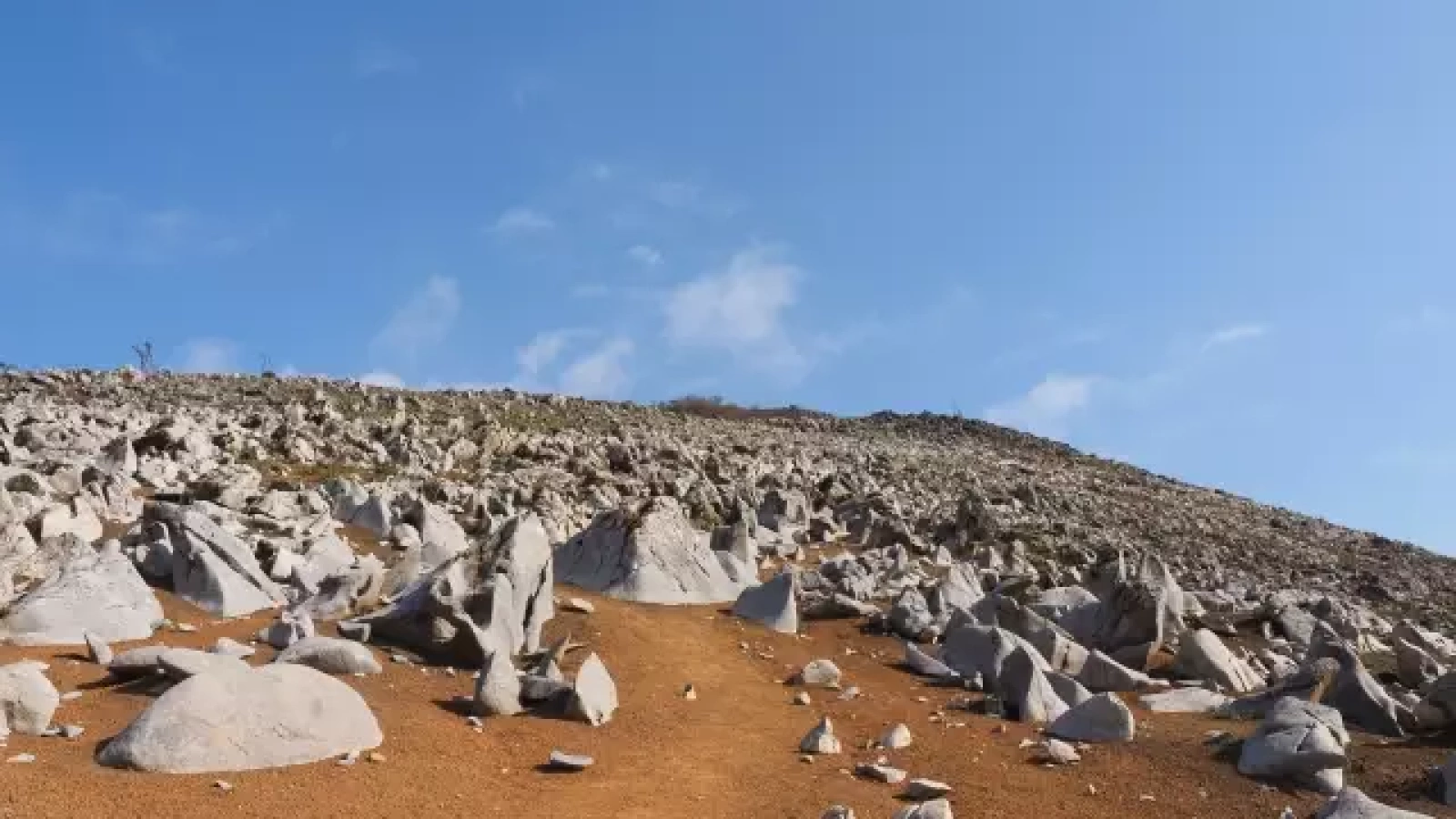 霊仙山登山の初心者から楽しめる3つのルート・駐車場情報
