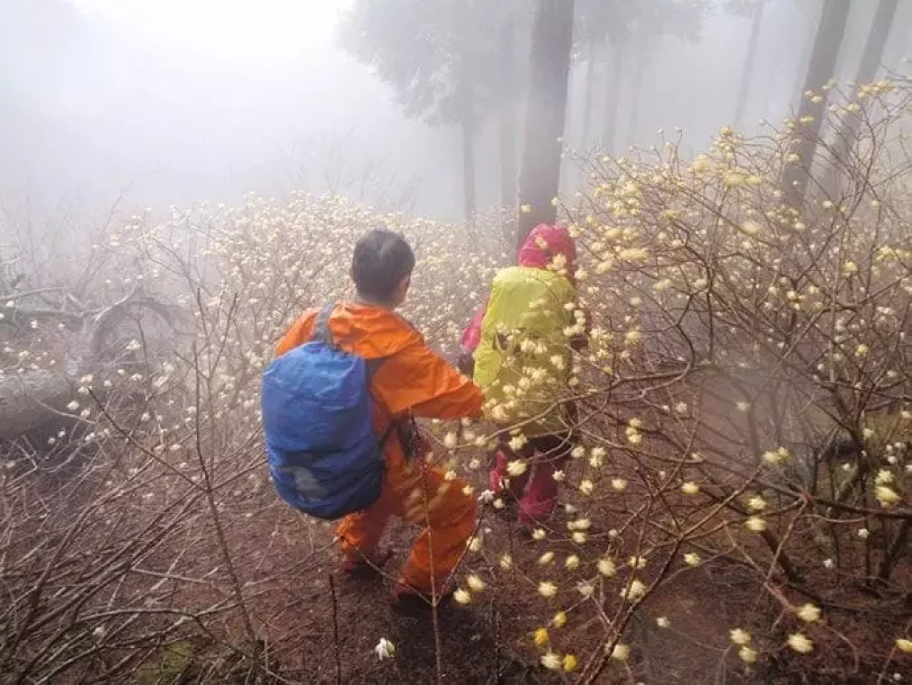 安心登山勉強会
