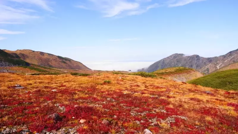 室堂の紅葉