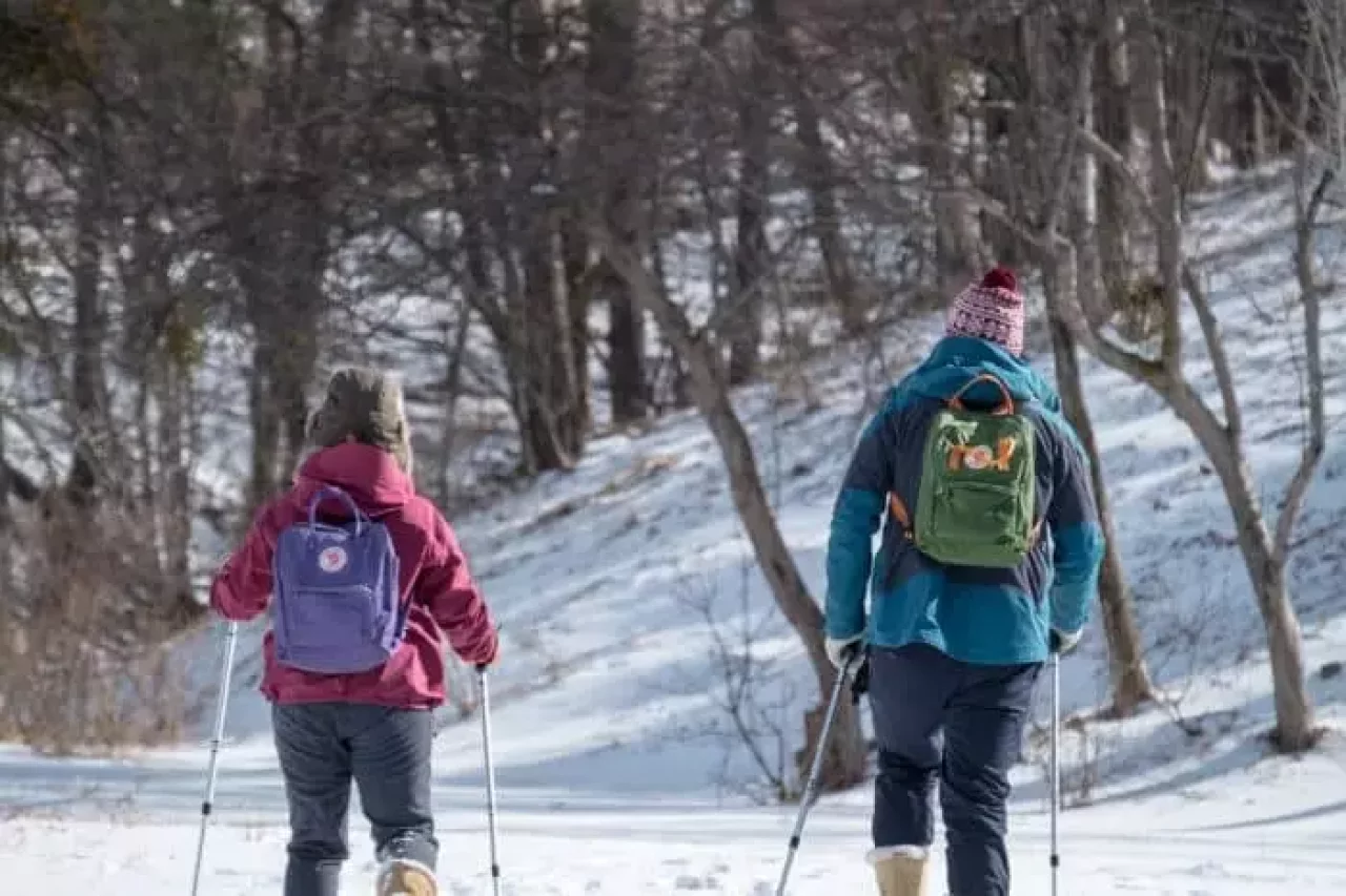 フェールラーベン