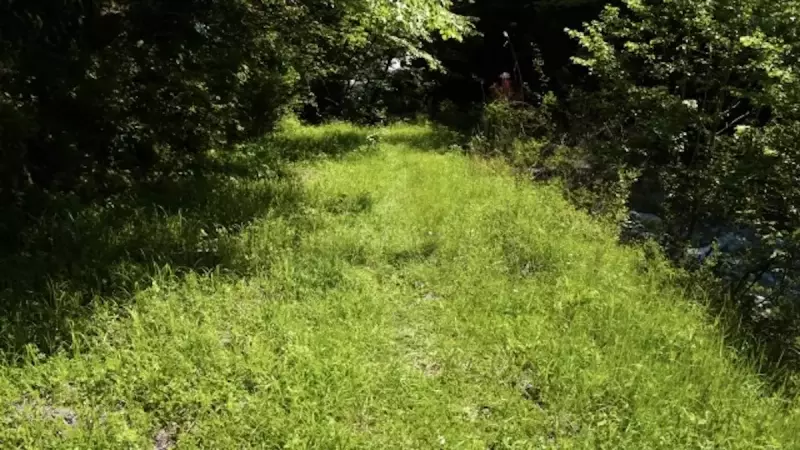 恵那山の登山道