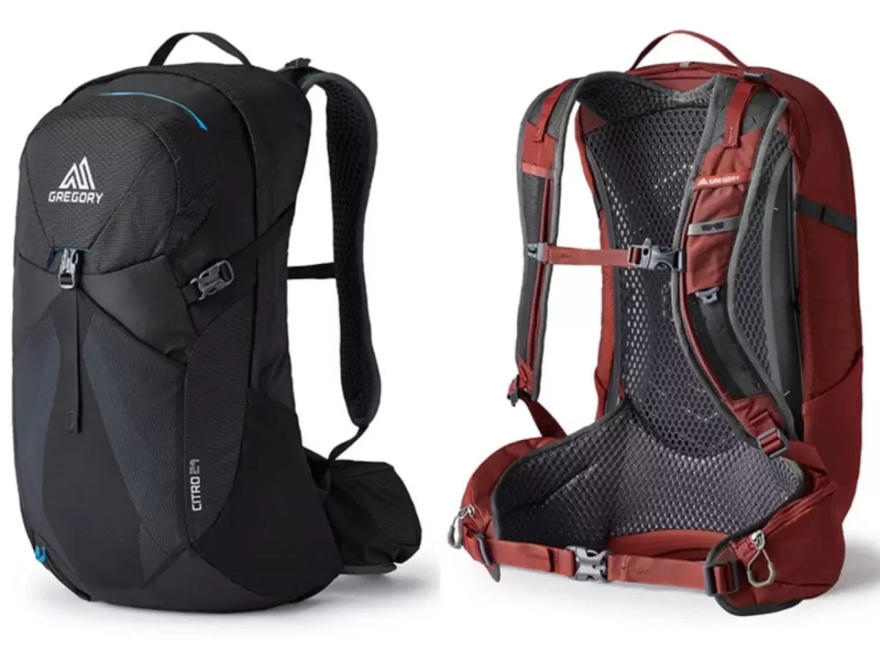 グレゴリー シトロ24