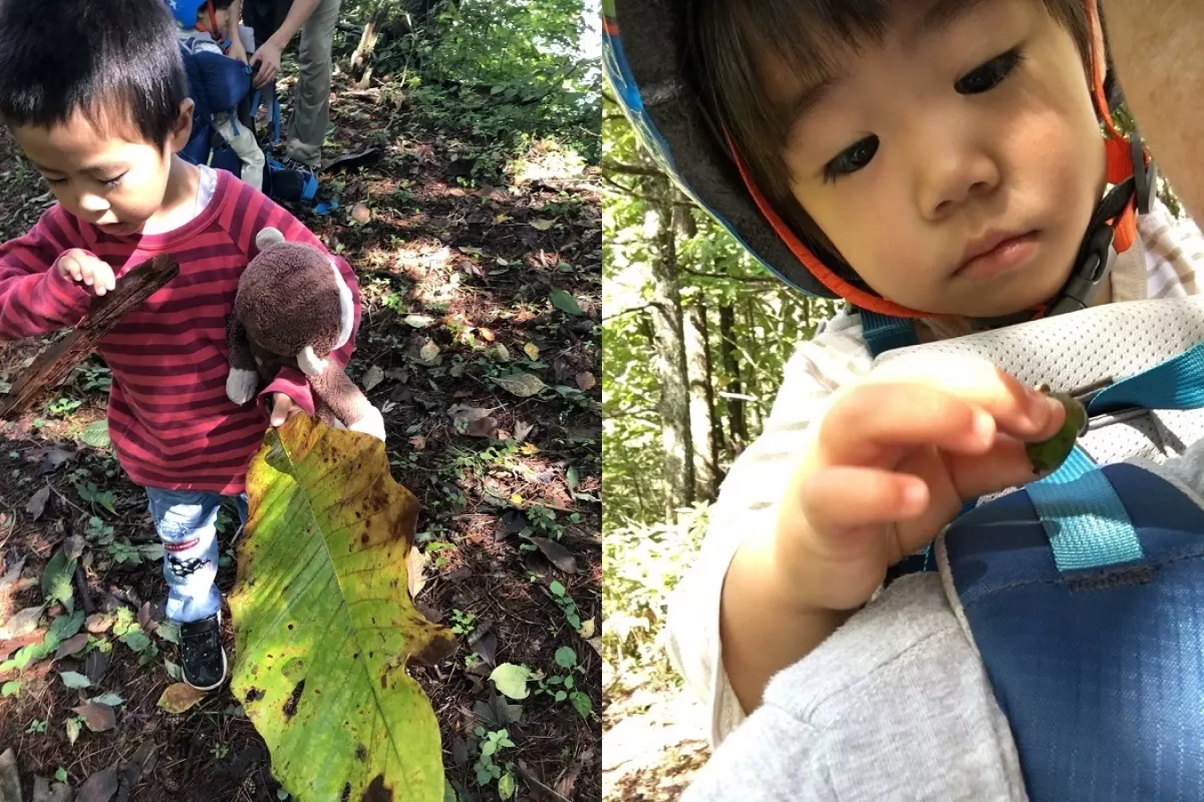 聖高原で親子トレッキング-子供が喜ぶスポット盛りだくさん