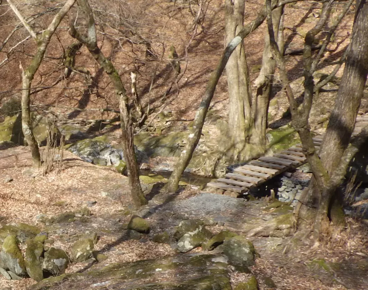 急斜面が続く中上級者向け登山コース富田新道